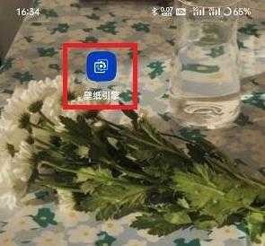 麻匪壁纸mpkg文件包