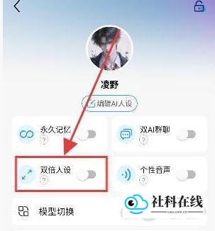 Laiker双倍人设开启步骤二