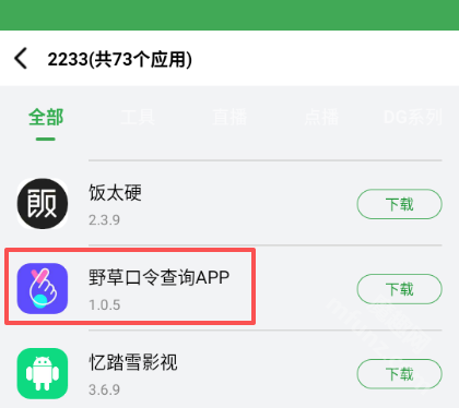 野草口令查询App界面