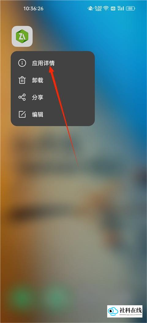 应用详情界面