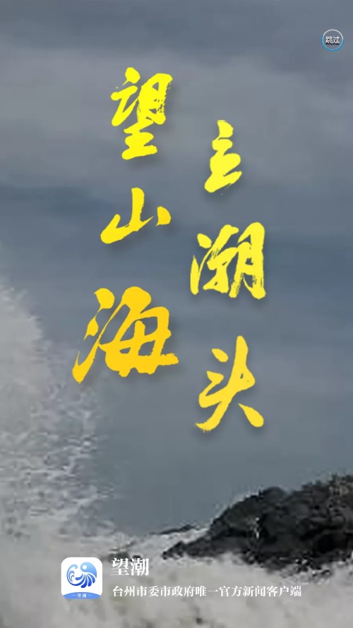 望潮客户端