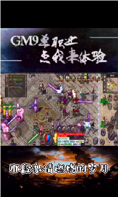 GM9单职业