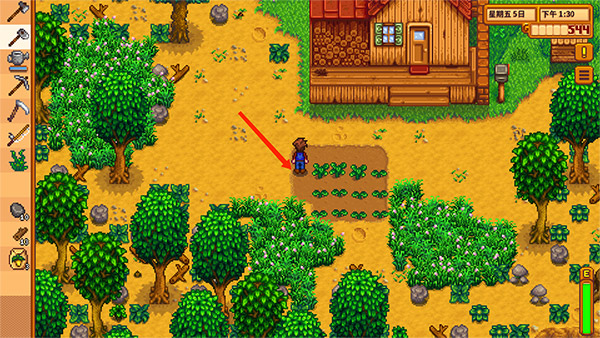 Stardewvalley手机版