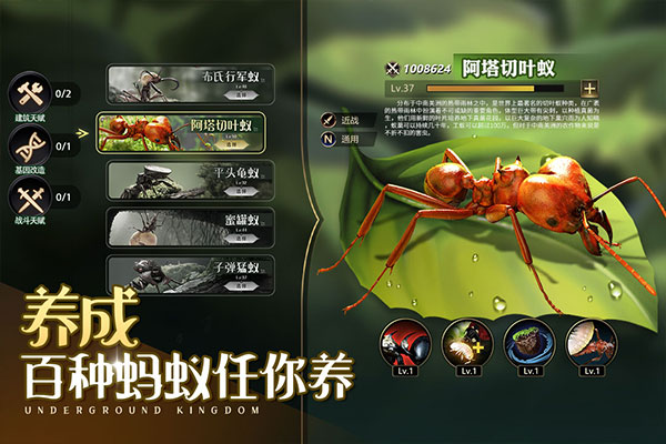 小小蚁国游戏