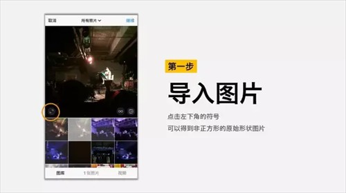 instagram官方正版