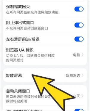 bobo浏览器海外版黑色