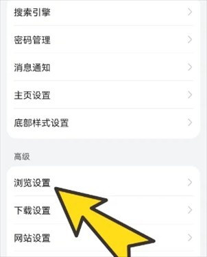 bobo浏览器海外版黑色