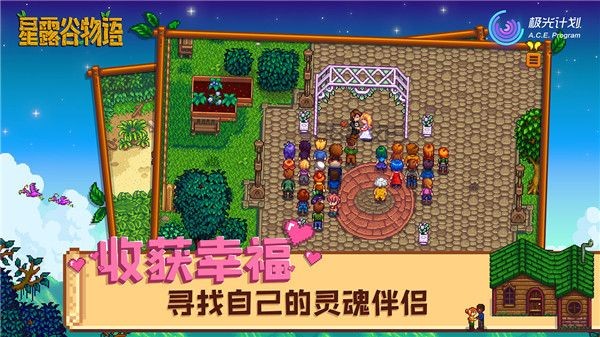 Stardewvalley手机版