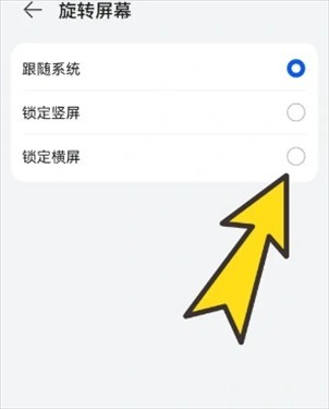 bobo浏览器海外版黑色