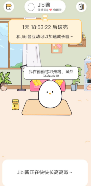 Jibiapp