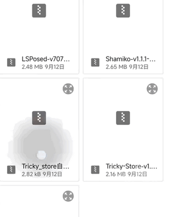 Tricky Store