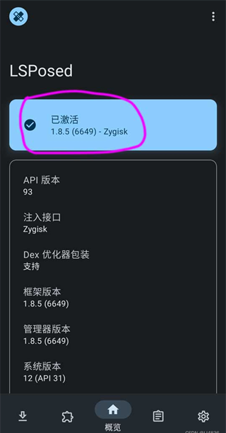 LSPosed免Root 已激活状态
