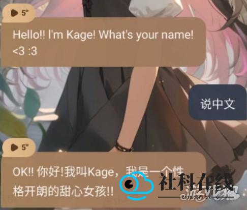 Talkie Lab中文设置步骤三