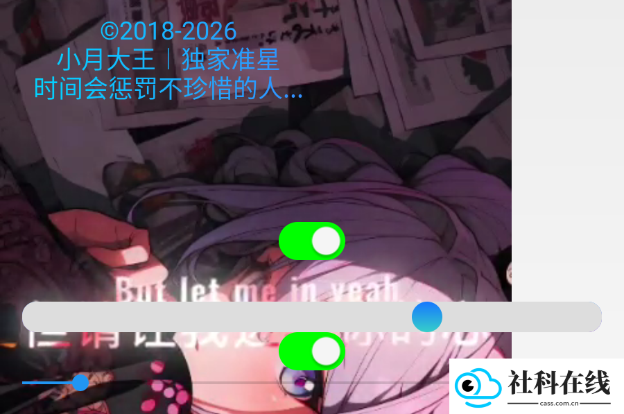 小月大王准星