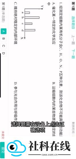 智学网