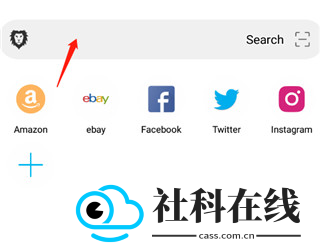 黑狮浏览器官方版