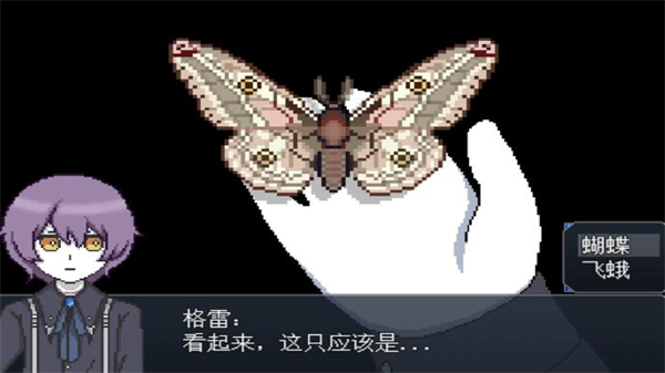 白夜博物馆