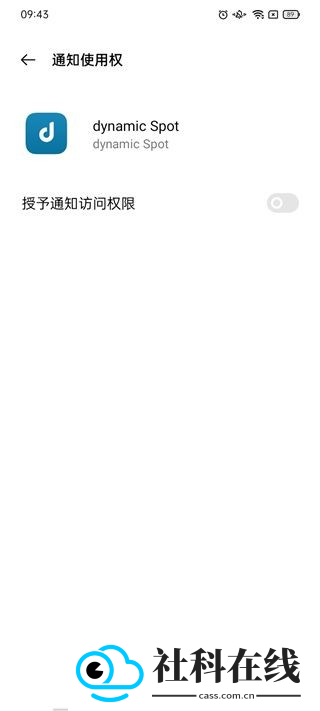 dynamicspot汉化版