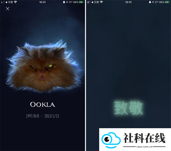 Ookla Speedtest中文版