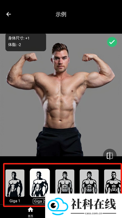 gigabody