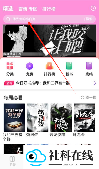 飞更小说