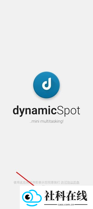 dynamicspot汉化版