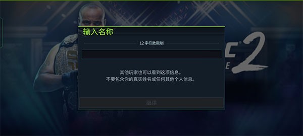 终极格斗冠军2
