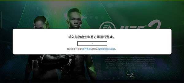 终极格斗冠军2