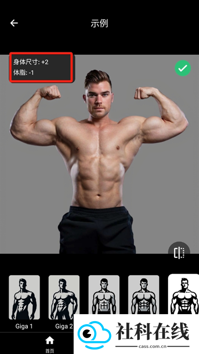 gigabody