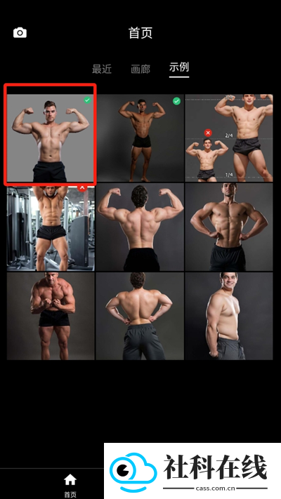 gigabody