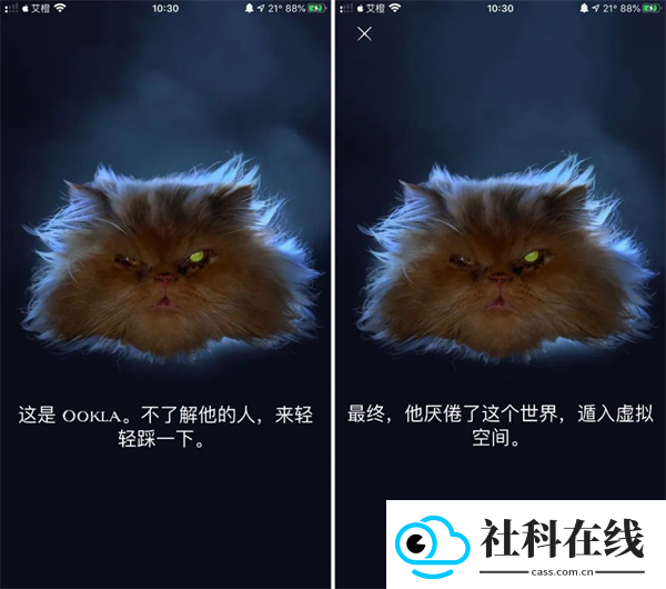 Ookla Speedtest中文版