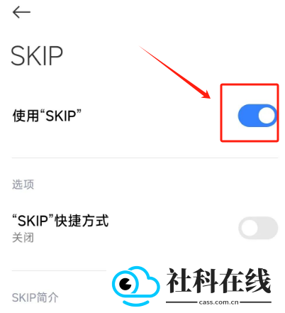 SKIP(跳过广告软件)