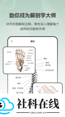 解剖模型Body软件