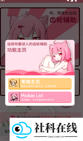 齿轮辅助正版