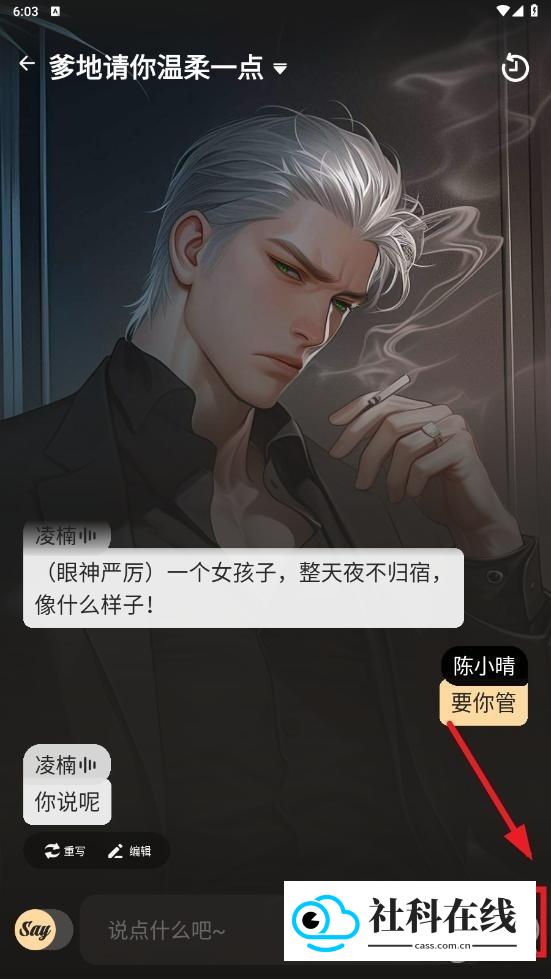 saylo AI怎么删除剧本(2026.09.17更新)1