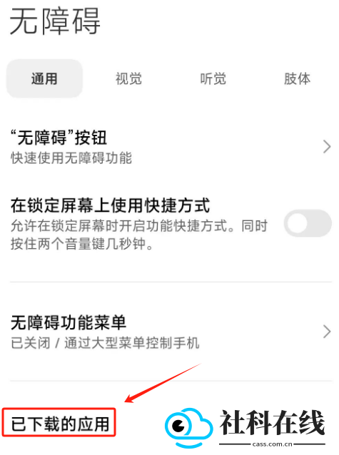SKIP(跳过广告软件)
