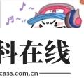 鲁班搭档