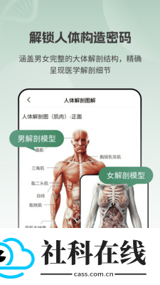 解剖模型Body软件