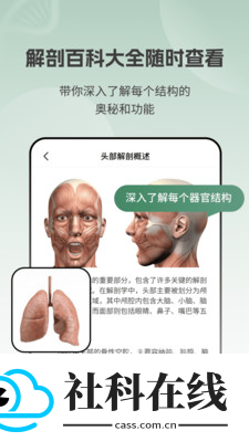 解剖模型Body软件