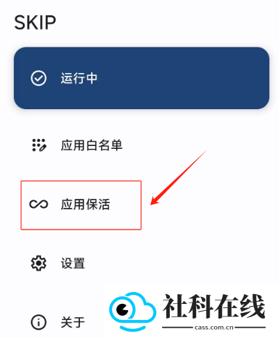 SKIP(跳过广告软件)