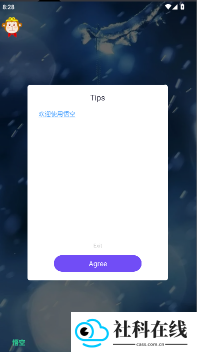 悟空直装