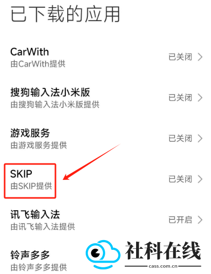 SKIP(跳过广告软件)