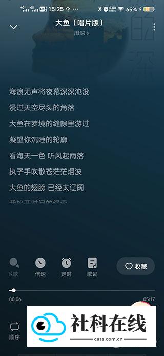 番茄畅享音乐使用教程-2