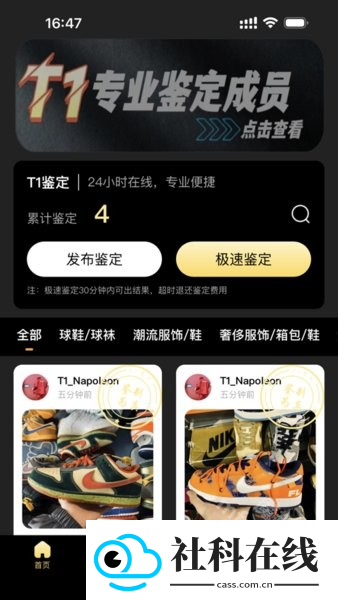 t1鉴定(鉴定师app)