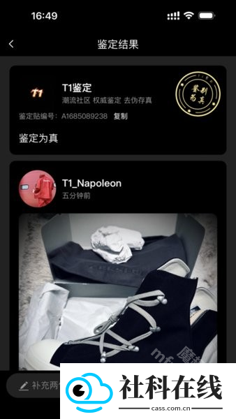 t1鉴定(鉴定师app)