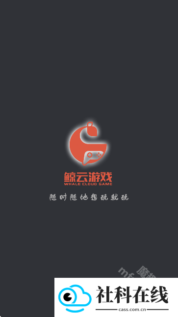 鲸鱼漫游
