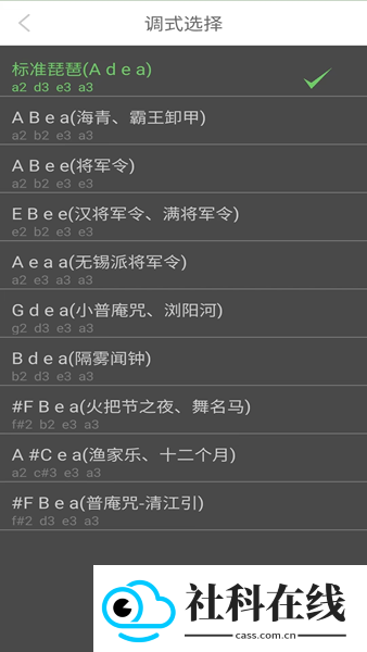 智能琵琶调音器
