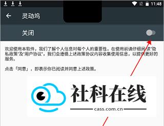 灵动坞小组件