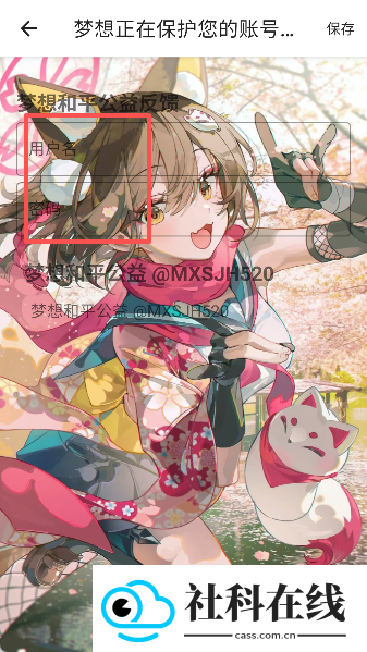 梦想和平公益