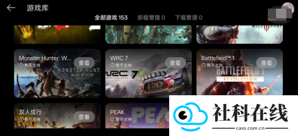 PC掌玩app